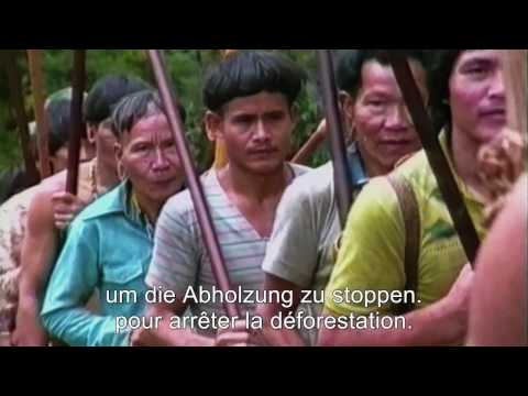 OFFICIAL TRAILER: The Borneo Case - Bruno Manser lebt weiter