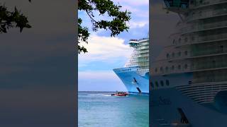 Allure of the Seas 🛳️ #share #like #yt #comment #cruise #vacation #shortvideo #shortsvideo