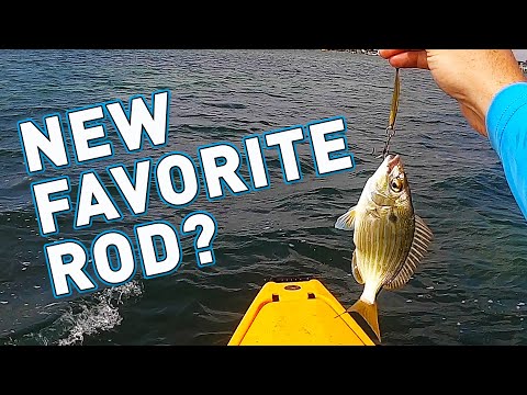 Breaking in my New Shimano GLF Rod