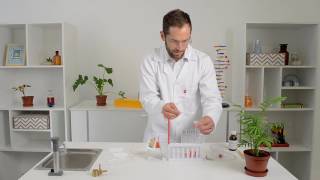 Acid Base Neutralisation Reaction Experiment