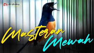 Download lagu MASTERAN MURAI BATU LOS ISIAN SUPER MEWAH | SHAMA BIRD mp3