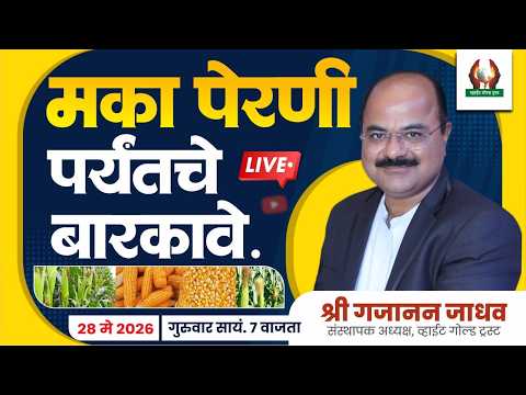 मका पेरणी पर्यंतचे बारकावे