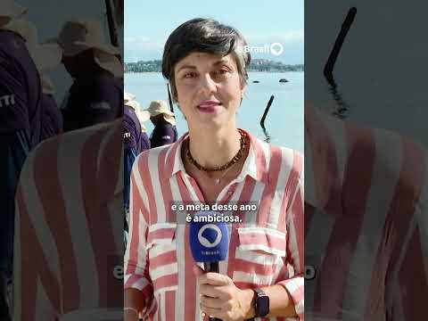 Ação do Sail GP promove retirada de toneladas de lixo da Baía de Guanabara