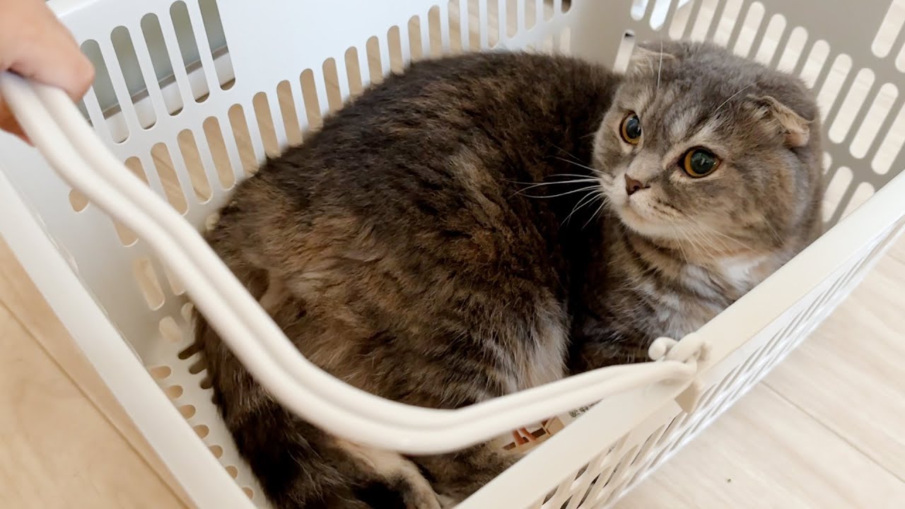 安心して下さい。みんな元気です!!