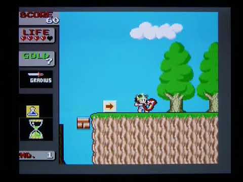Wonder Boy in Monster Land PC Engine