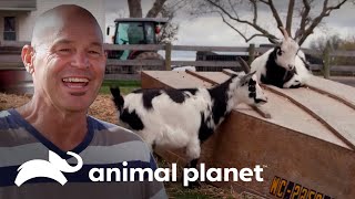 Thumbnail del capítulo