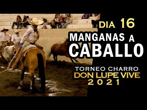 MANGANAS ON HORSEBACK day 16 - Don Lupe Vive Tournament 2021