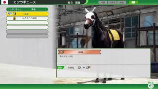 【ウイニングポスト10 2025】まったりやる