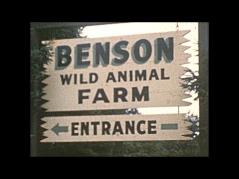 1962 - Benson Wild Animal Farm, Hudson, New Hampshire