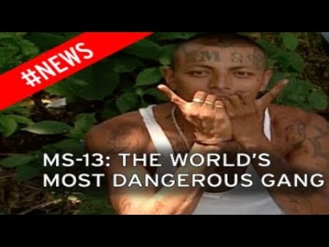 MS-13 El Salvador Gang brutal barbaric murderers in USA illegally MS13 USA invasion 10 Thousand+ Video