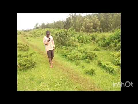 mayibobo  zomucyaro  zakamejeje  RUKARATV