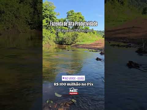 FAZENDA EM RIO VERDE COM ALTA PRODUTIVIDADE  EM RIO VERDE-GO 198 ALQUEIRES #fazendaavenda #agro
