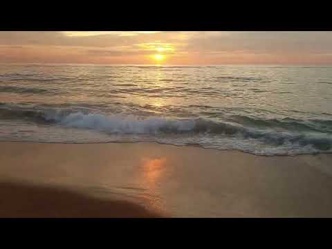 Sunset Serenity - Dehiwala Beach 🌊