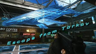 地獄の３連夜勤が終わった男のタルコフ。【Escape from Tarkov】タルコフ/Lv20～【気軽にコメントください】
