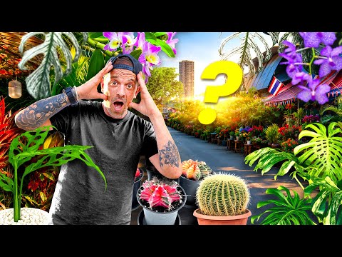 LE PLUS GROS MARCHÉ DE PLANTES DU MONDE (les prix sont dingues) - TOOPET