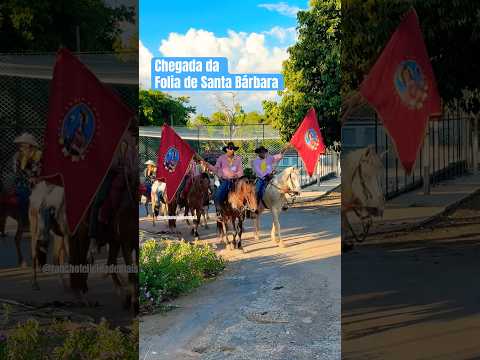 ✅Chegada da Folia de Santa Bárbara no distrito de Lagolândia-GO. 🐎🪗🥁#folia #cultura #tradição #fe