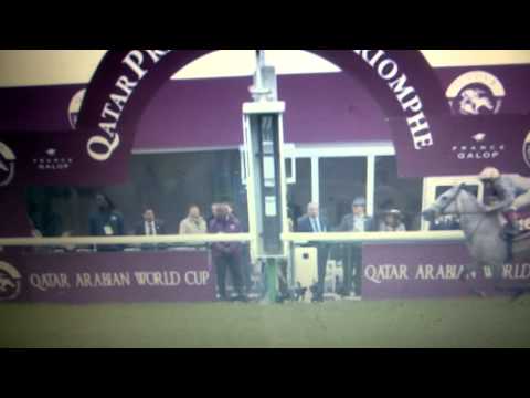 Qatar Arabian World cup 2014 - Dahor de Brugere ( Narrado em Português)