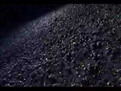 LirouM’s Video 15801846052 vVU9lowG7U0