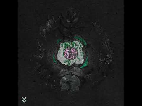 T-Puse - Negina feat. Natan Goferman (Temple Tears Remix)