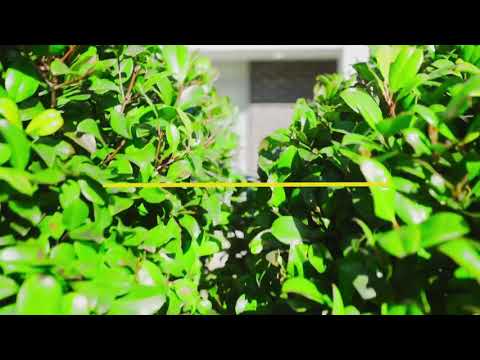 65 Sandakan Road Revesby Heights