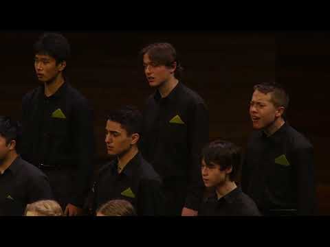 Rathkeale College and St Matthew’s Collegiate, Viva Camerata | Shule Aroon – arr  Ruth Elaine Schram