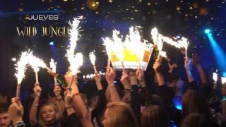 FIN DE AO Y FIESTAS DE NAVIDAD  OPIUM MADRID