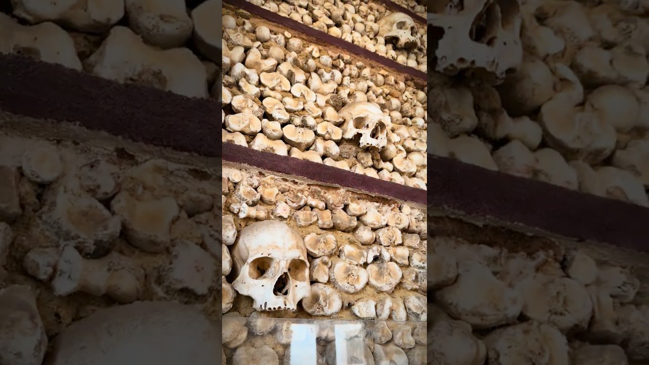 YouTube Short thumbnail