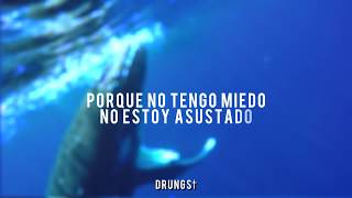 Alok, Zeeba &amp; IRO - Ocean [Sub Español]