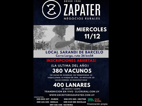 11/12/2024 Feria mensual  - Escritorio Zapater/  Local Sarandi de Barcelo
