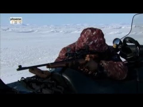 Kinder der Tundra - Überleben im Eis (Doku)