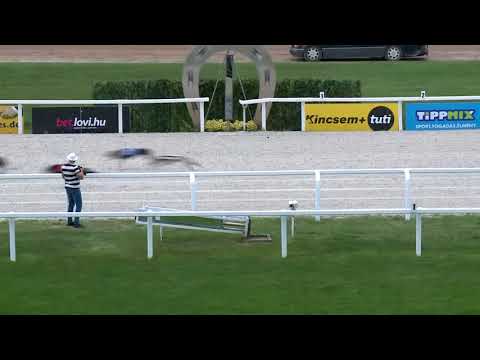 2018.06.29. - Agár futam