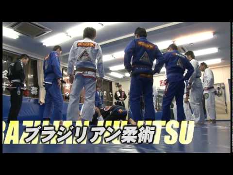 ブラジリアン柔術と総合格闘技の道場【ブルテリア格闘技ジム】PV