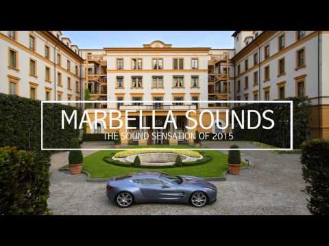 Show Me Love (Anevo Remix) [feat. Robin S] by Steve Angello & Laidback Luke