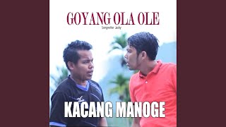 Download lagu Goyang Ola Ole mp3