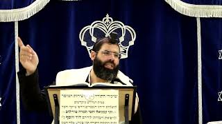 דף היומי שבועות דף ל"ד ע"א ¤ הרב נתנאל אברז'ל ¤ בית הכנסת "בית מרדכי" (מוסדות תורת דוד) - התמונה מוצגת ישירות מתוך אתר האינטרנט יוטיוב. זכויות היוצרים בתמונה שייכות ליוצרה. קישור קרדיט למקור התוכן נמצא בתוך דף הסרטון