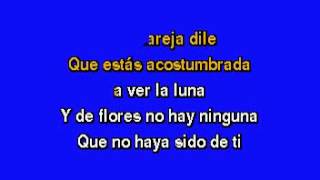 karaoke Luis Miguel  Ahora Que Te Vas