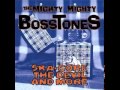 The Mighty Mighty Bosstones - Lights Out (Angry Samoans cover)
