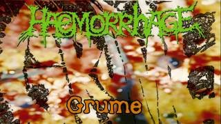 Haemorrhage - Cartilageous Pulped Offals