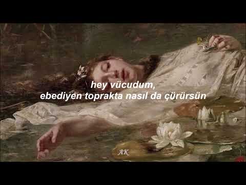 Alina Orlova - Golubi (Türkçe Çeviri)