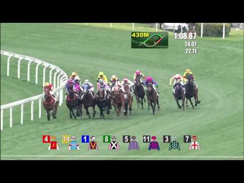 Nothing Else But You - Karis Teetan (26 february)