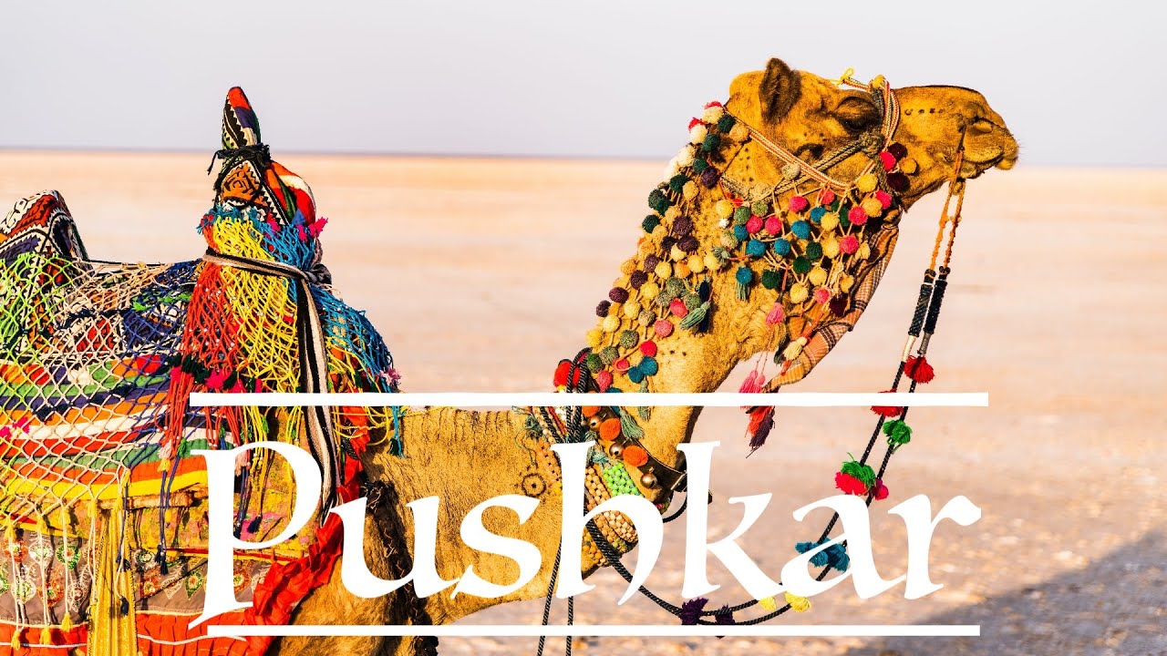 Exploring Pushkar | Pushkar Tourist Places | Things to do in Pushkar, Rajasthan | Brahma Temple
