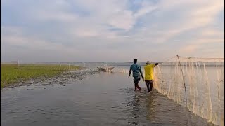 Unbelievable Hand Fishing Skill! Catching Fish in the River (2025)