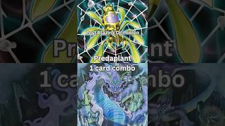 Predaplant 1card combo feat Fata Dragna post Blazing Dominion 2026 TCG Yugioh