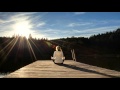 Craig Connelly feat lj ayrten veins (radio edit) HD ...