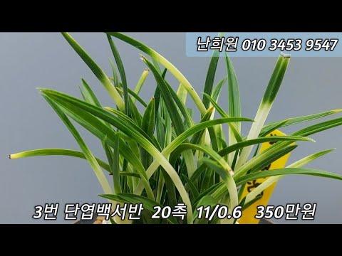 유튜브 썸네일