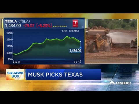 Tesla CEO Elon Musk: Austin plant will be an ecological paradise