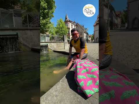 Jockel on Tour: Alfeld & Freden - Ein Abenteuer durch Geschichte und Schönheit