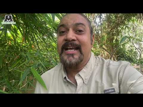 Earth Day 2020- Message from Wildlife SOS co-founder Kartick Satyanarayan