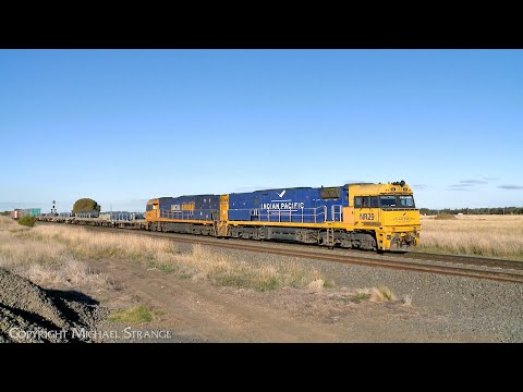5MP2 Pacific National Steel Train With Additional Container Loading (15/5/2024) - PoathTV Railways