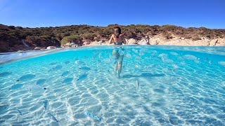 Porto Giunco e il suo acquario naturale a Settembre | Sardegna 2022